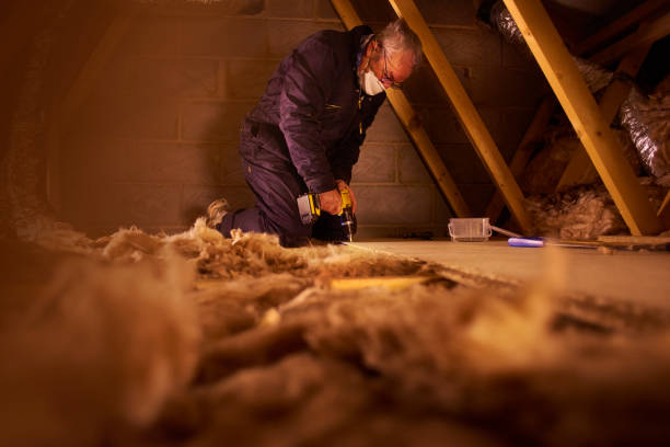 Eco-Friendly or Green Insulation Solutions in Coventry Lake, CT